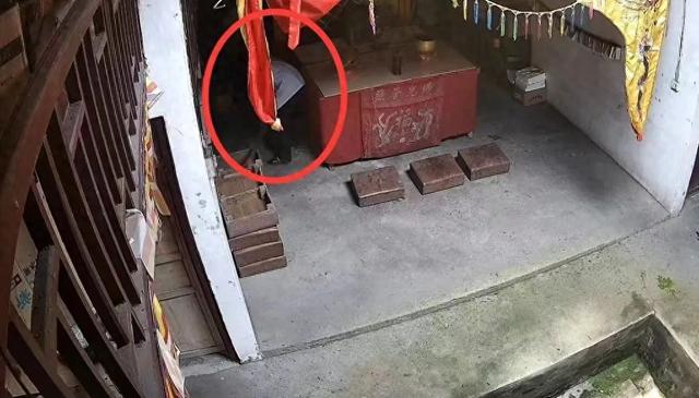烟月稀 第20页