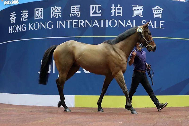 香港今晚开什么特马,高效协作全面掌控_远航版23.47.72