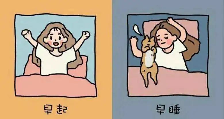 早睡早起，恢复身体节律的秘密武器，探索健康生活的关键