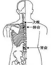 老年人日常保健与养生良方