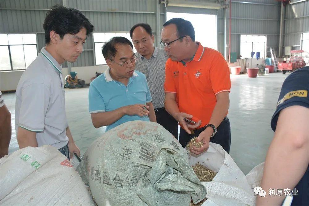 新兴市场对共享经济的接受程度、趋势、动因及挑战分析