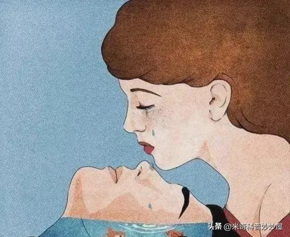 养生食谱，助力男性维持体力与健康的秘诀