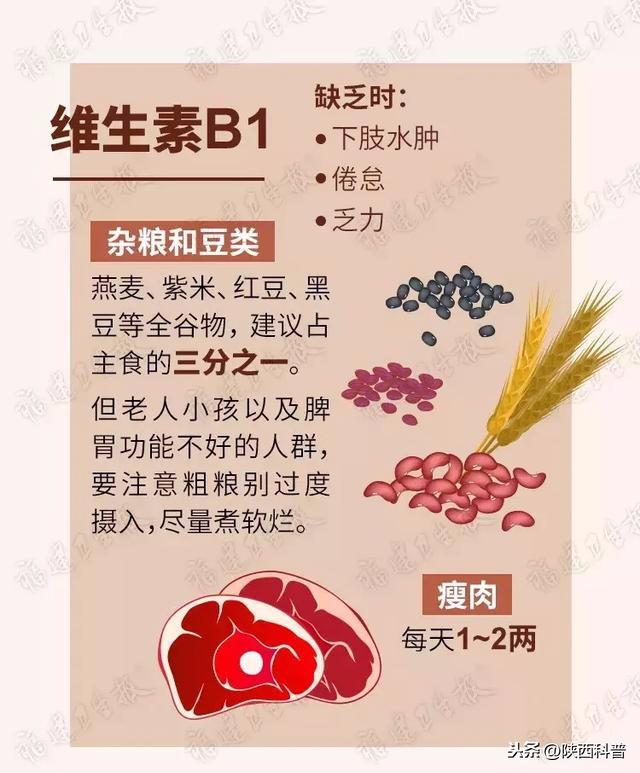食疗指南，如何通过饮食增加体内维生素摄入量的秘诀