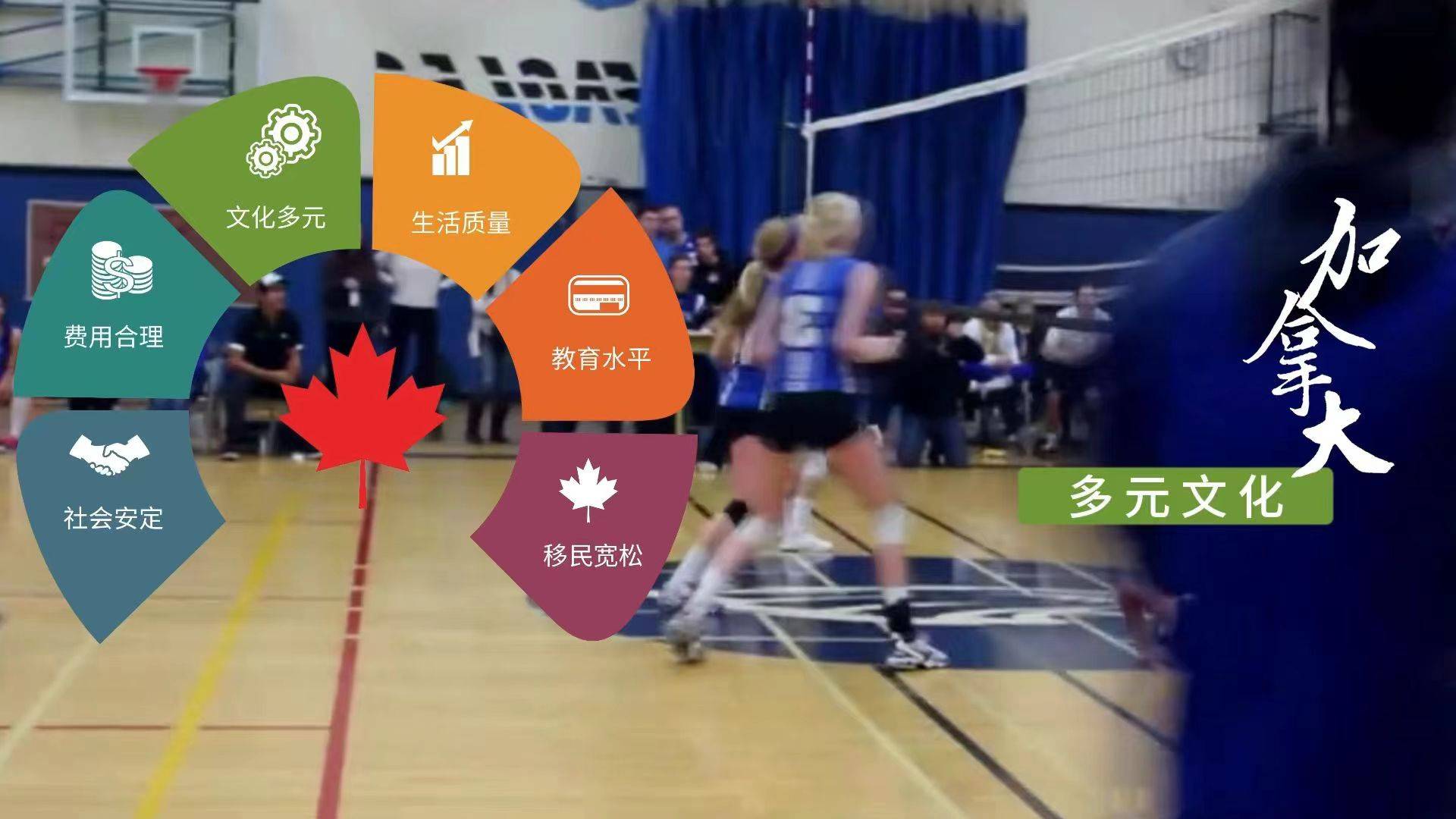多文化教育，助力学生融入全球社会的关键之道