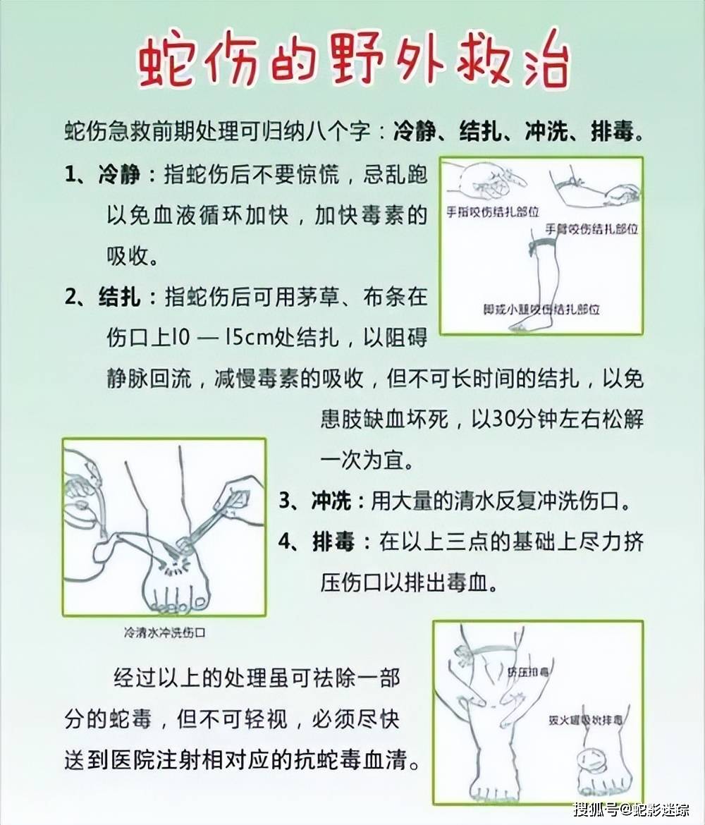 毒蛇咬伤急救指南，如何为家人提供正确救援措施