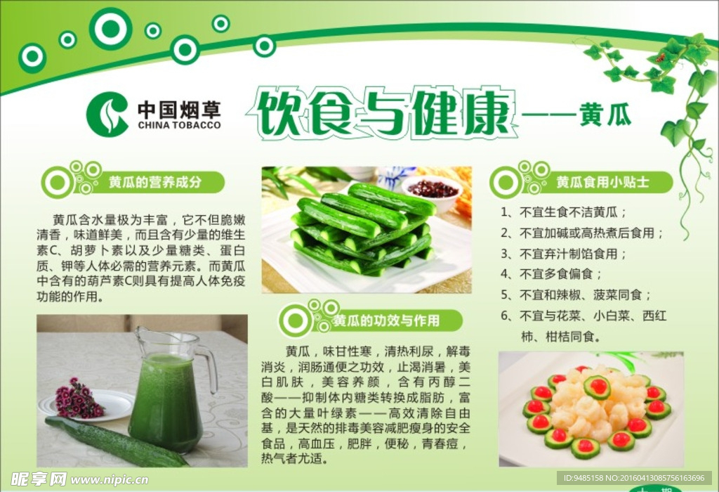 中医视角下的饮食健康原则探讨