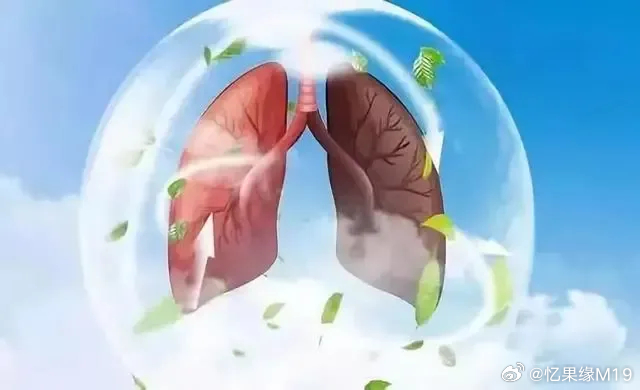 森离九 第14页