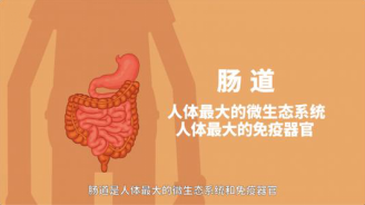 中医养生法，提升肠道健康之道