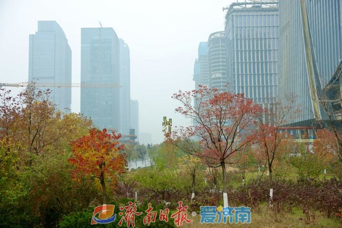 济南CBD初冬美景如诗如画解锁风采