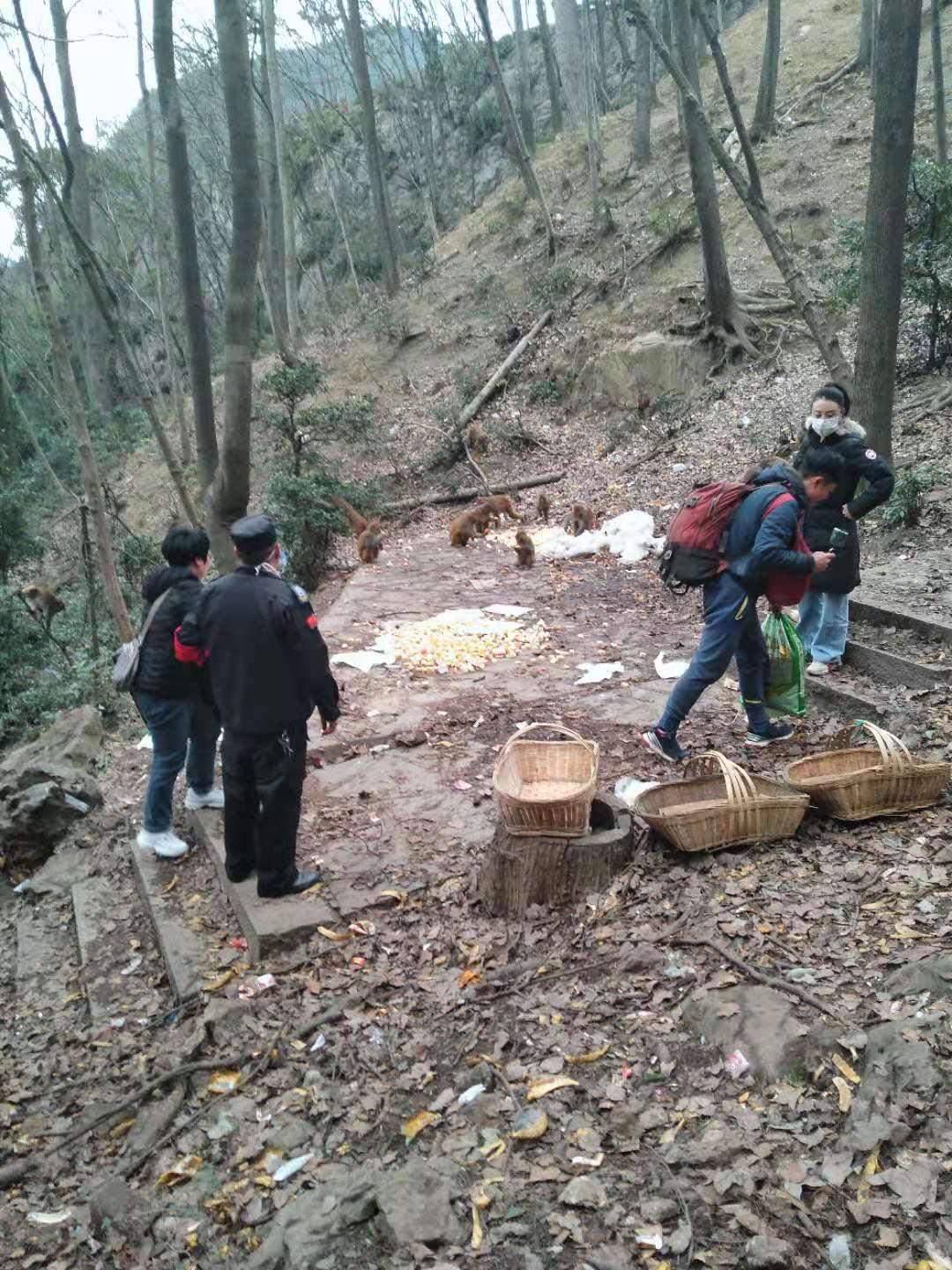 在线留言 第183页
