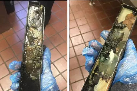 酒店窗台上的化石，揭开古老秘密的奇遇之旅