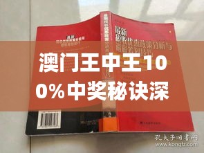 新澳门王中王100%期期中,精准实施解析_Superior44.926