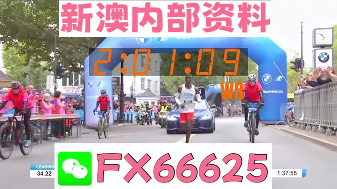 新澳2024年精准正版资料,稳定策略分析_户外版02.863