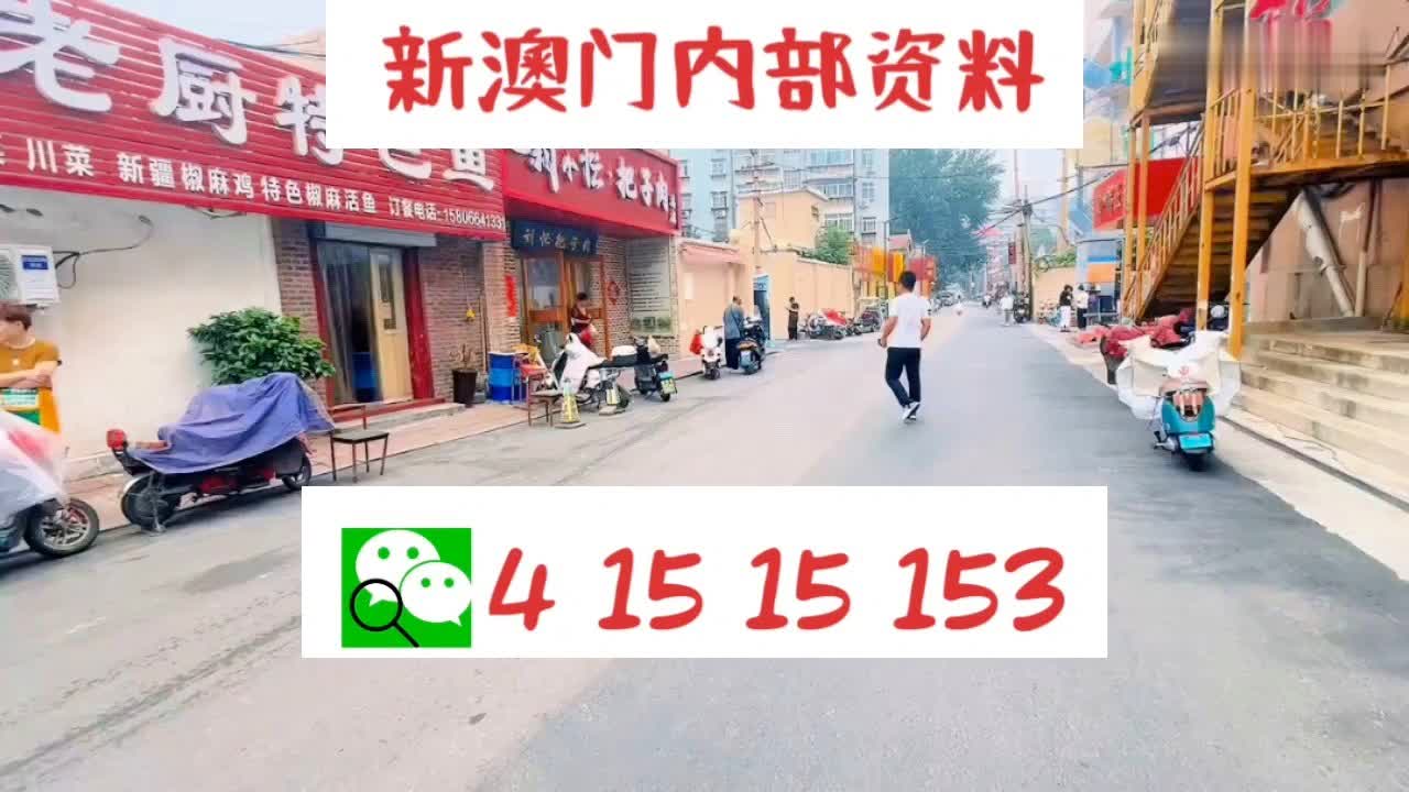 新澳门资料免费长期公开,2024,定性分析解释定义_钻石版83.783