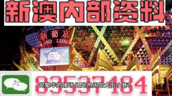 新澳门精准资料大全管家婆料,灵活操作方案_复刻版68.663