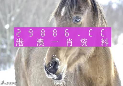 澳门一肖一特100精准免费,专业解析说明_UHD02.489