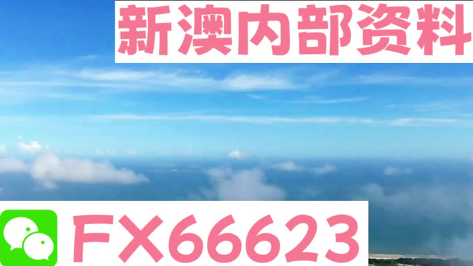 2024新澳正版免费资料,迅速设计执行方案_顶级版89.863