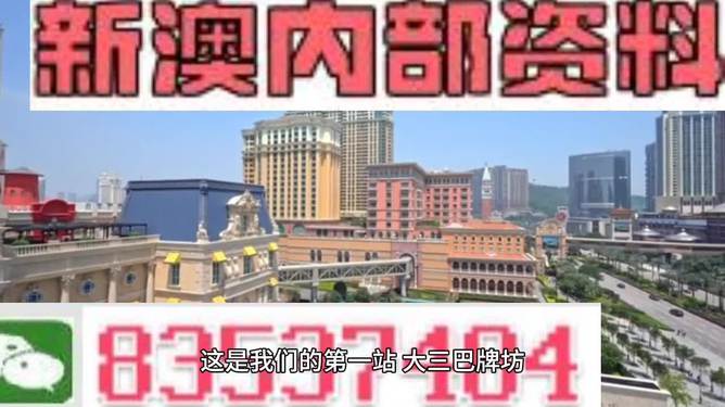 新澳2024年精准资料32期,实践导向路径优化_睿智版19.34.65