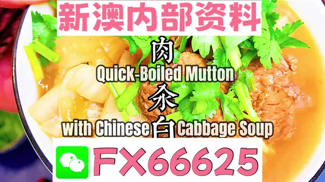 管家婆一肖中一码630,调整方案执行细节_创意版68.027