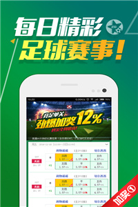 2004新澳门天天开好彩大全正版,确保成语解释落实的问题_Superior39.96