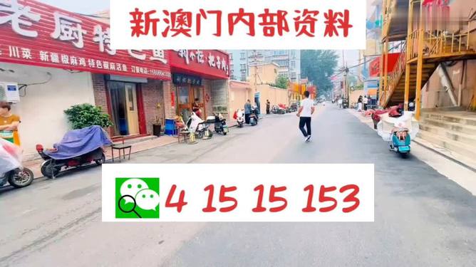 2024年天天开好彩资料,决策资料解释落实_DP82.893