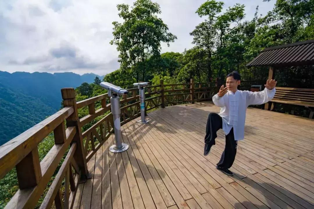 每日冥想，减压增免的秘密武器