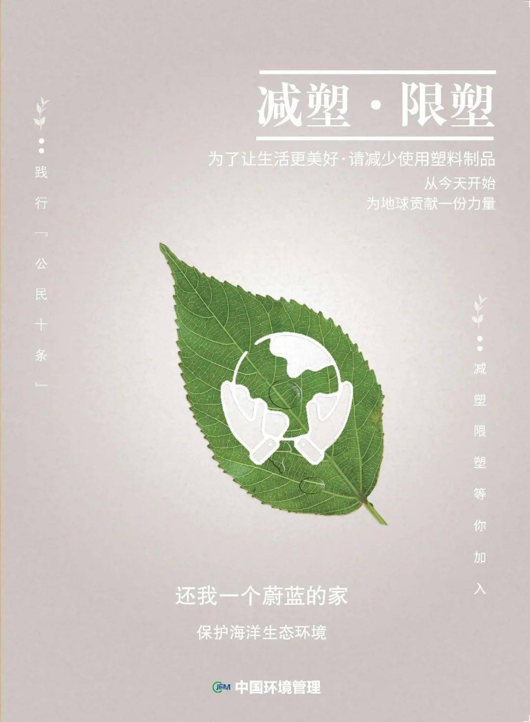 践行绿色生活，食品包装减少的重要性与行动策略