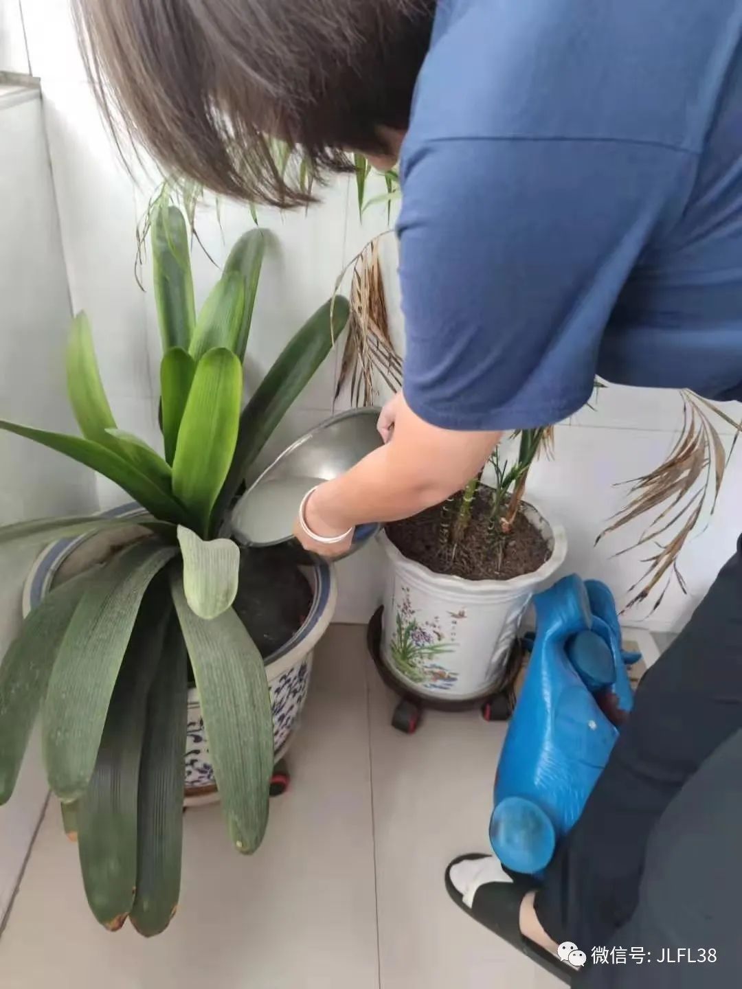 家庭实践绿色环保生活的方法与理念