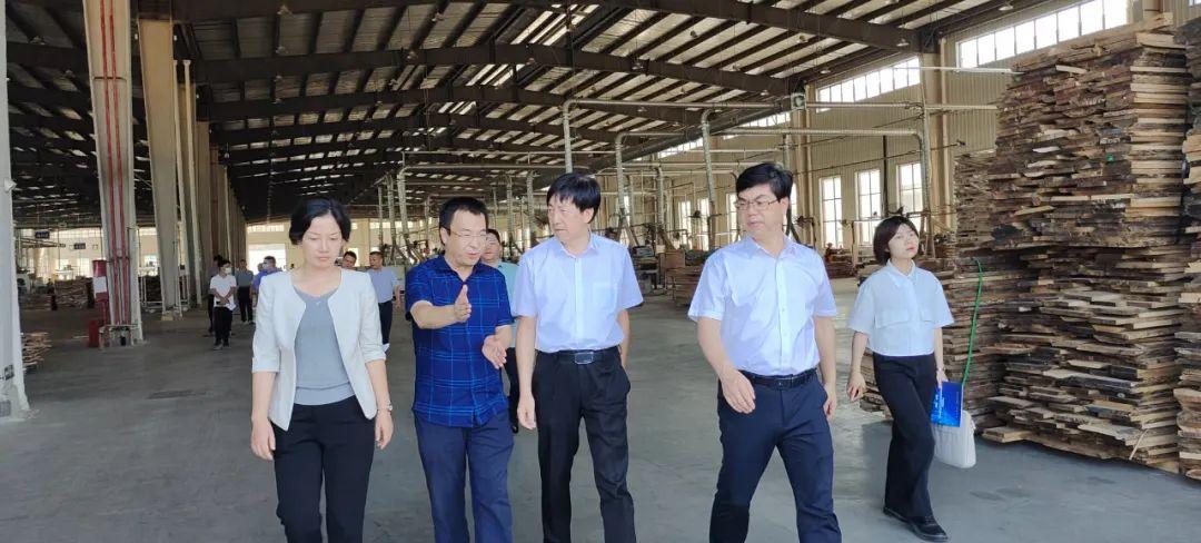 共享经济与绿色发展的融合之道，寻找契合点