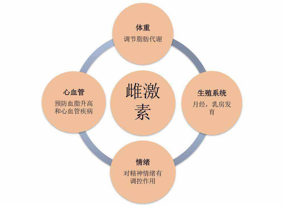 养生食谱，调节女性体内激素平衡之道