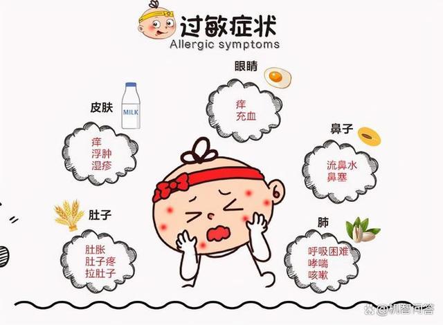 养生食谱助力缓解过敏症状之道