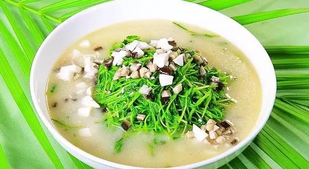 亚健康人群养生食谱推荐，健康饮食助你重拾活力