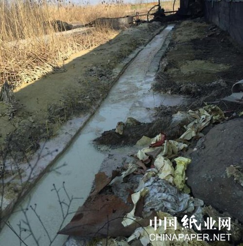 南西子 第11页