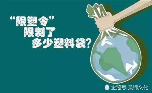 多地限塑政策加码推广实施，环保之路坚定前行
